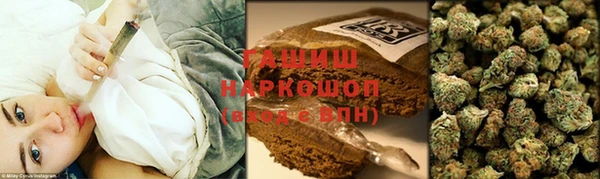 мдпв Рыльск