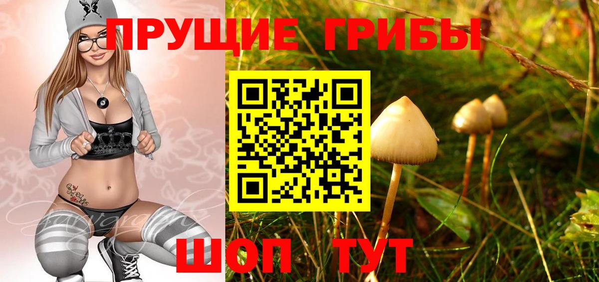 Псилоцибиновые грибы Psilocybe Тутаев