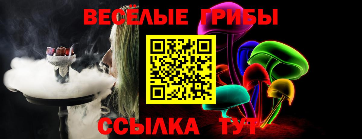 Тутаев  Галлюциногенные грибы MAGIC MUSHROOMS  Вход с VPN 